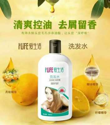 用什么洗发水不掉发（什么洗发水温和不刺激也不掉发）