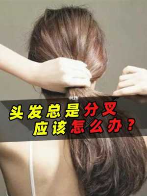 头发分叉严重最快补救方法,头发严重分叉怎么办女生