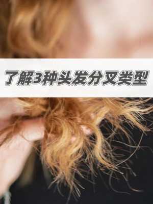 头发怎么分叉（头发分叉解决方法）