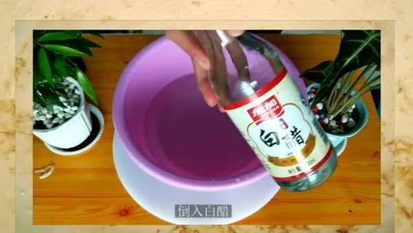 白醋洗头治白发有效吗,用什么洗头治白发变黑