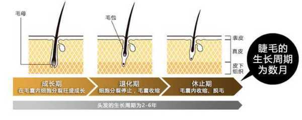 脱发是因为什么原因（掉发的原因及治疗该怎么做）