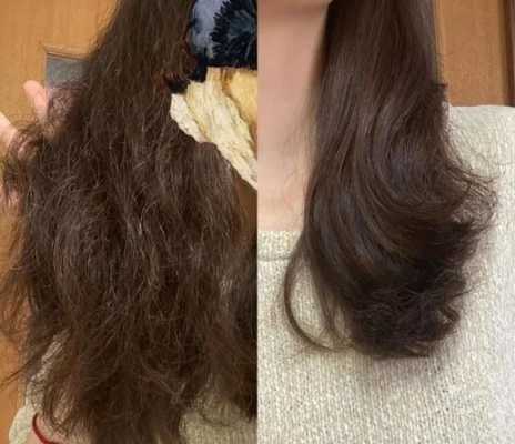 什么是油性发质（什么是油性发质什么是干性发质）
