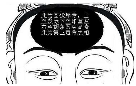 眉心骨是人的吗,额骨是什么骨类型