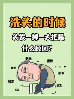 头发一直掉是什么原因（头发一直掉是什么原因造成的）