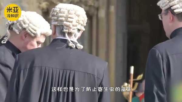 律师为什么带假发（西方律师为什么戴假发）