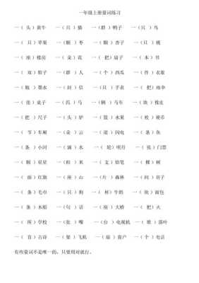 一什么女士（一什么女士填量词）