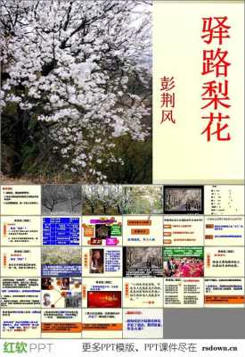 怎么样的梨花（驿路梨花中梨花是一个怎样的人,作者是如何塑造她的）
