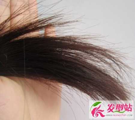 为什么头发会分叉,女生头发分叉是什么意思