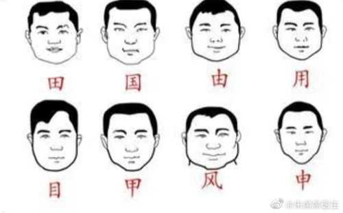 什么是申字脸（用来概括八种脸型的汉字是那八个字）