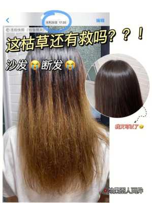 头发干枯断发怎么办（头发干枯断发怎么办吃啥药）