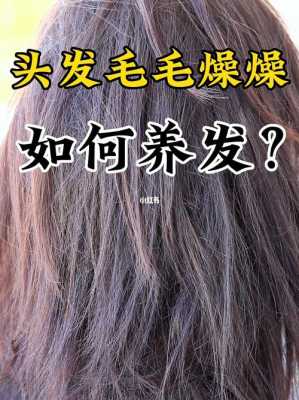 头发毛毛躁躁的怎么办（为什么头发毛毛躁躁）