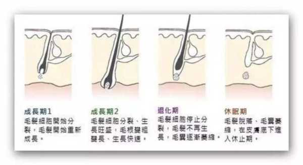 怎么保护头发毛囊（怎么增强头皮毛囊活力）