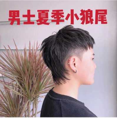 头发少又细适合什么发型（什么样的发质适合留狼尾）