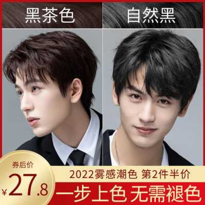黑的男生染什么颜色（15岁男生染头发成什么颜色好看，阳光帅气，不夸张，各种女孩都喜欢，到底什么颜色，各位帮帮忙）