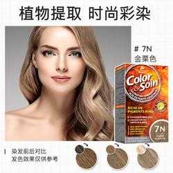 金栗子色是什么颜色,金栗色是什么颜色的图片