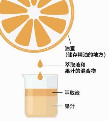 精油是如何提取出来的,精油怎么来的?