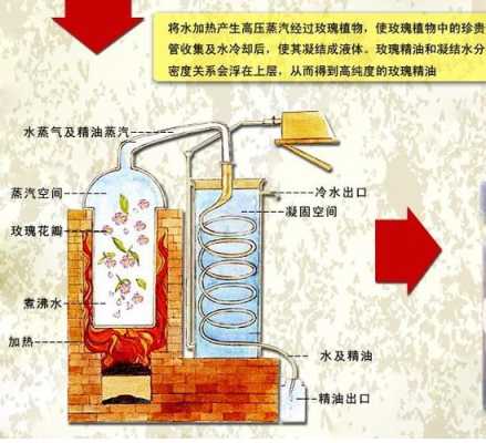 精油是如何提取出来的,精油怎么来的?