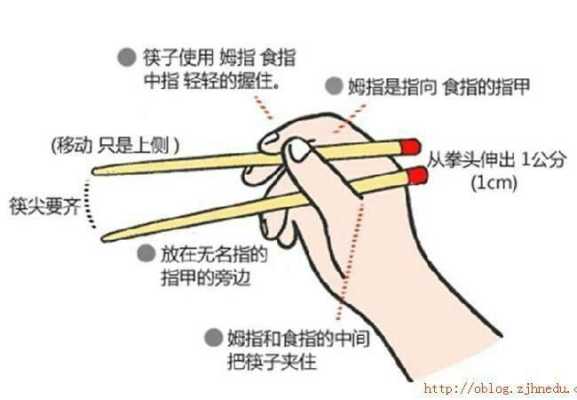 筷子怎么使（筷子怎么使用）