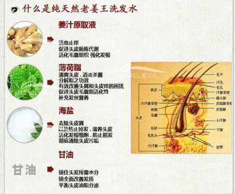 头发什么成分（头发的主要化学物质是什么）