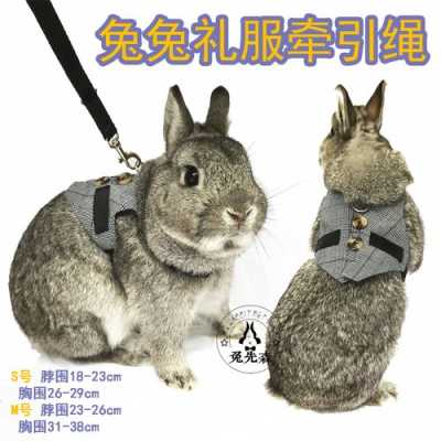 兔子怎么绑（兔子怎么绑绳子）