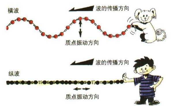 波浪是什么形状的（水波到底是横波还是纵波）