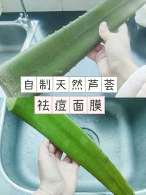 芦荟怎样做面膜,怎么自制芦荟面膜最好