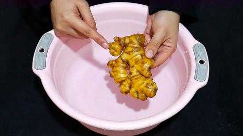 生姜怎样洗头,用姜怎么洗头发需要洗发水吗