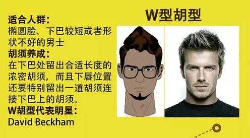 怎么养胡子造型,