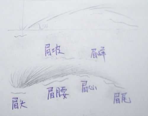 怎么画画眉毛（零基础纸上画眉毛技巧和方法）