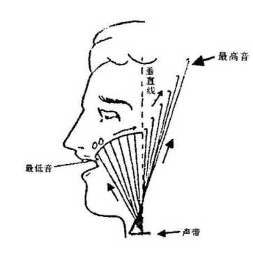 怎么发女声（怎么发女声假音）