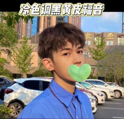 男孩染什么颜色好看（男孩染什么颜色好看图片）
