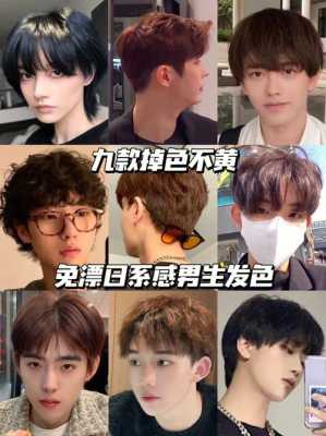 男孩染什么颜色好看（男孩染什么颜色好看图片）