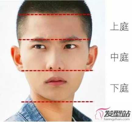 男生怎么看自己适合什么发型（男生怎么看自己适合什么发型app）