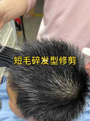 落水毛怎么裁断,毛碎怎么剪视频教程