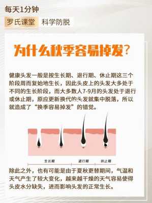为什么易掉发（易掉发的原因）