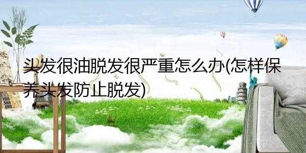 头发油怎么办掉头发（头发油怎么办掉头发多）