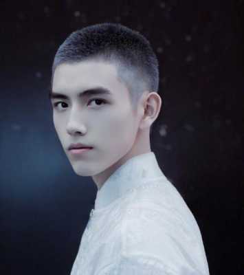 鹅蛋脸 寸头怎么样,鹅蛋头适合什么发型男孩