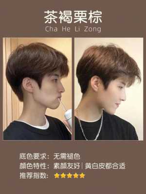 脸白的男生染什么颜色（脸白的男生染什么颜色好看）