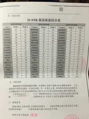 头发怎么检测（头发怎么检测DNA）