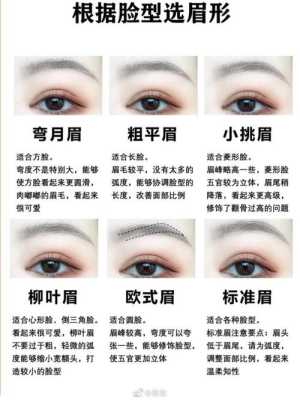 梨型脸适合什么眉型（眉毛有哪几种类型，详细）