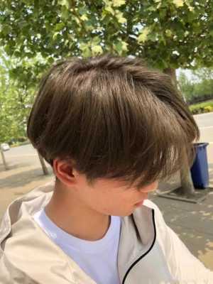 男孩染什么颜色的头发好看（男孩染什么颜色的头发好看图片）