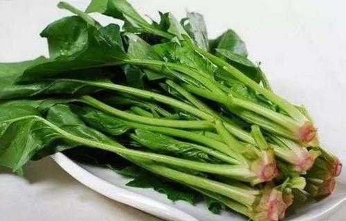 头发脱落吃什么好（头发脱落吃什么好?）