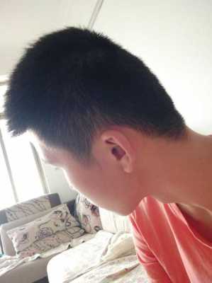 头顶从上往下看是三角是什么头型,头型是三角形