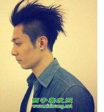 铲青什么意思（铲青是什么意思）