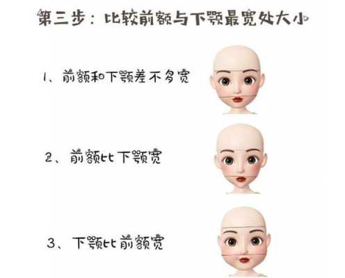 脸的长度怎么量（脸的长度怎么量图解）
