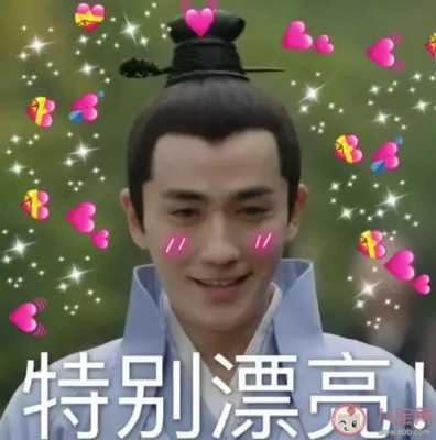 pldd什么意思网络用语（pld是啥意思饭圈）