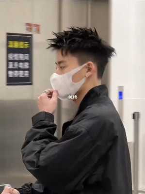 瓜子脸男生适合前刺碎盖吗,男生锥子脸适合什么发型图片