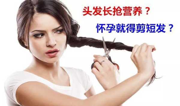 为什么怀孕要剪短发（孕期正常几个月可以剪头发）