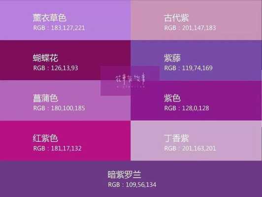 紫色的对冲色是什么（紫色的对冲色是什么颜色）