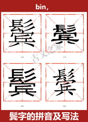 鬓高怎么办（鬓的上部分下边加毛读什么）